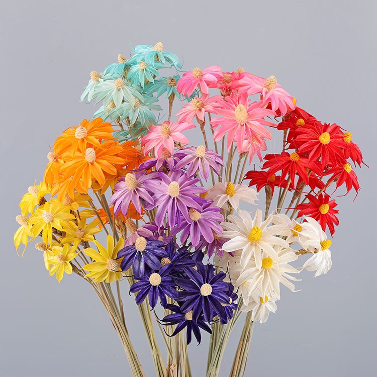 Hoa Cúc cánh bướm handmade Sấy Khô, Hoa khô decor trang trí