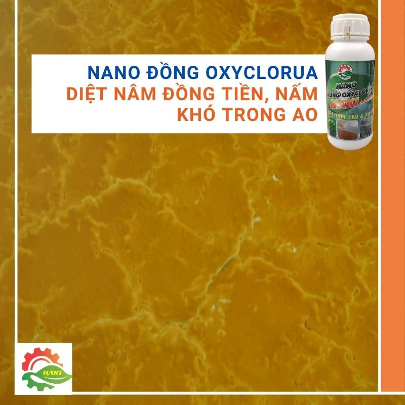 Nano đồng diệt NẤM RÊU TẢO , trùng mỏ neo, ký sinh trùng, xử lý nước hiệu quả nồng độ 15000ppm chai  500ml