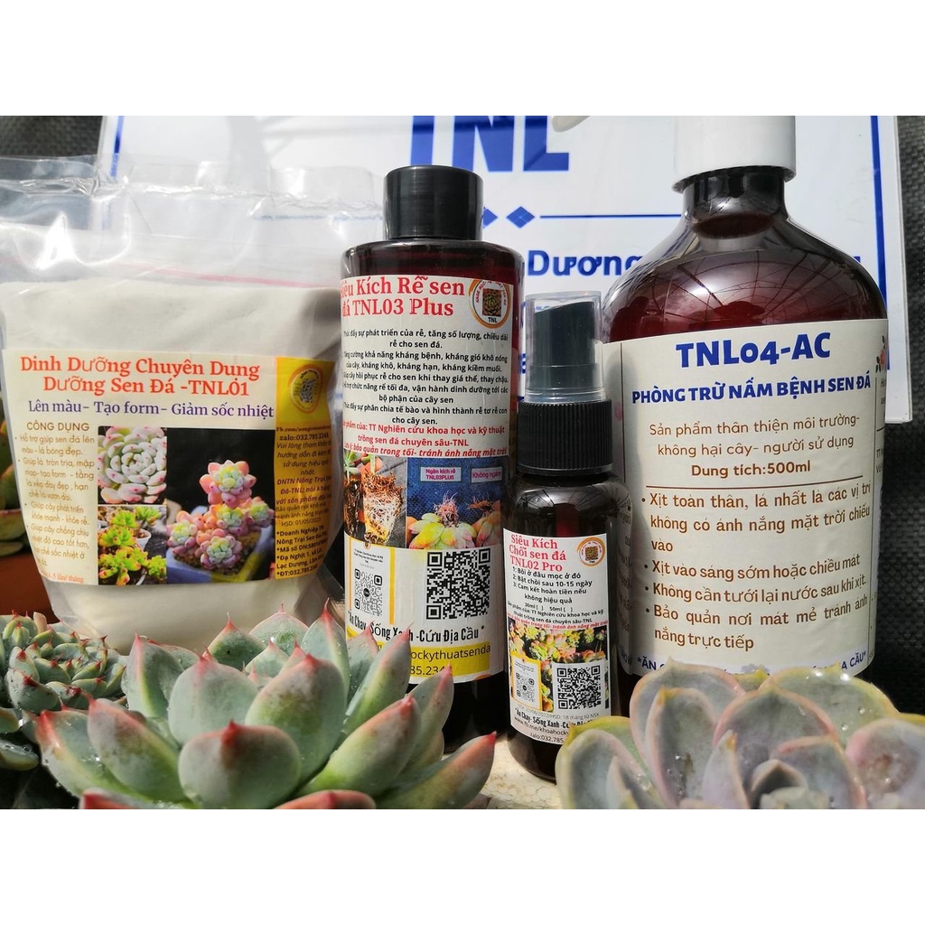 Combo 4 sản phẩm chuyên dụng cho sen đá _ xương rồng TNL