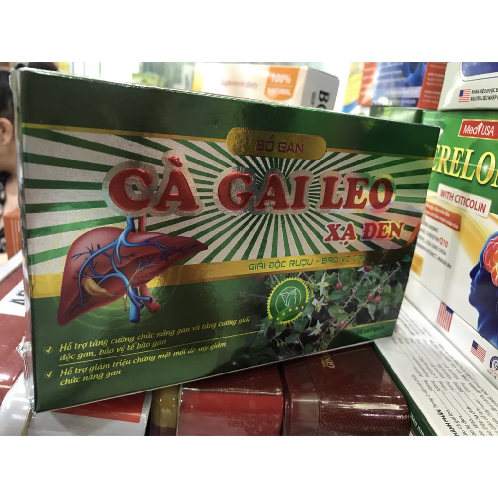 BỔ GAN CÀ GAI LEO