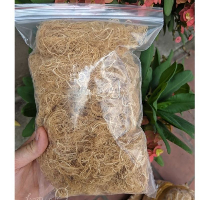 Rong Chỉ Vàng 100Gr Nấu Thạch Nấu Xu Xoa Ngon Mát