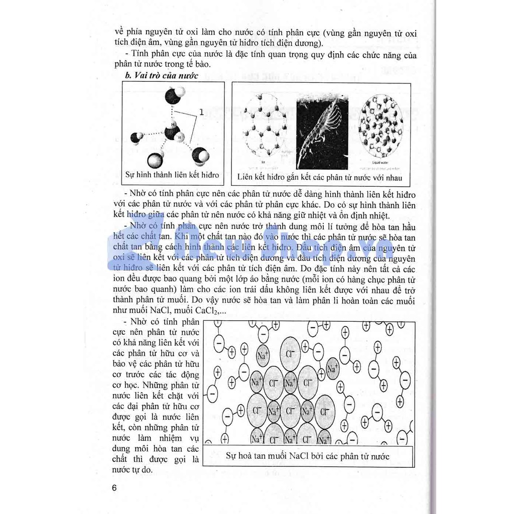 Sách Bồi Dưỡng Học Sinh Giỏi Sinh Học 10 - Phan Khắc Nghệ | BigBuy360 - bigbuy360.vn