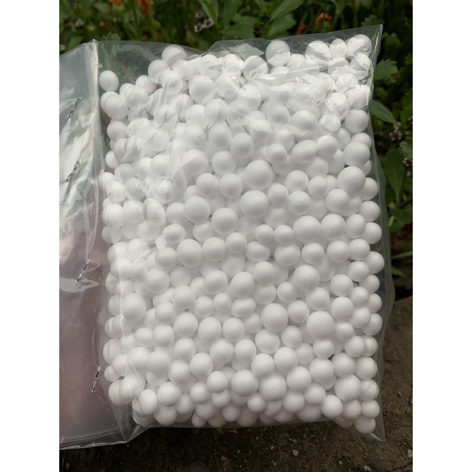 HẠT XỐP CÂU LANCE