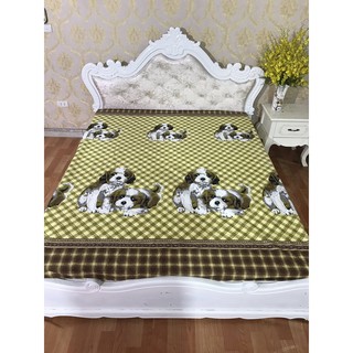 Ga chống thấm cotton cao cấp
