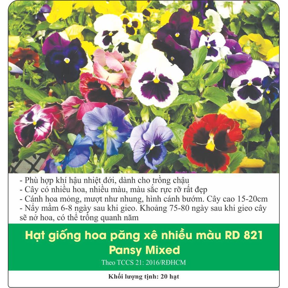 Hạt Giống Hoa Pansy Mix Nhiều Màu Gói (0.03gr)