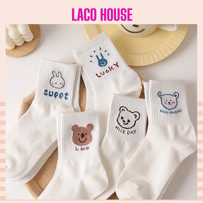 Tất cotton nữ cổ lỡ hoạ tiết gấu và thỏ dễ thương TAT09