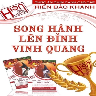 CÁM CĂNG LỬA CHÒE LỬA, THAN, ĐẤT HIỂN BẢO KHÁNH số 2
