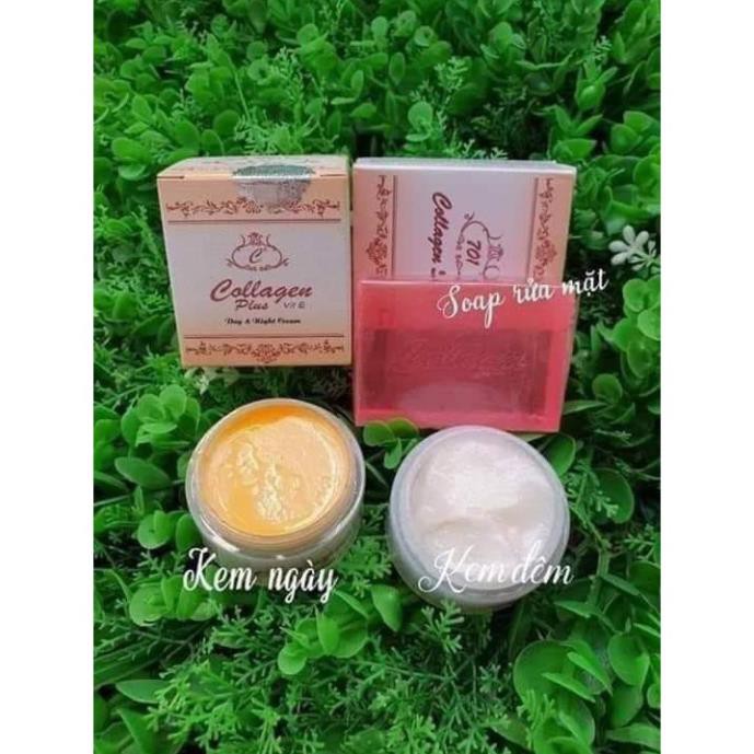 d 12 set COLAGEN PLUS VIT E f