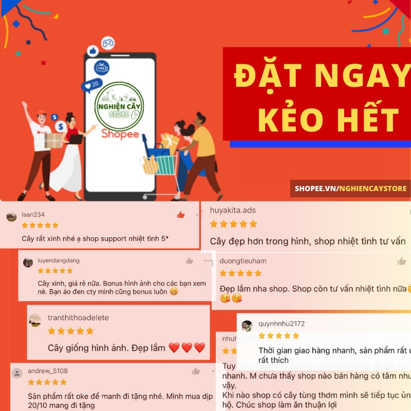 Phụ kiện Heo con ngộ nghĩnh trang trí tiểu cảnh, cây cảnh, sen đá