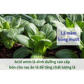 Chế phẩm Smin rau ăn lá 100ml