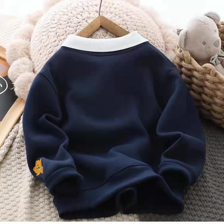Áo nỉ có cổ thêu hình thời trang cho bé trai