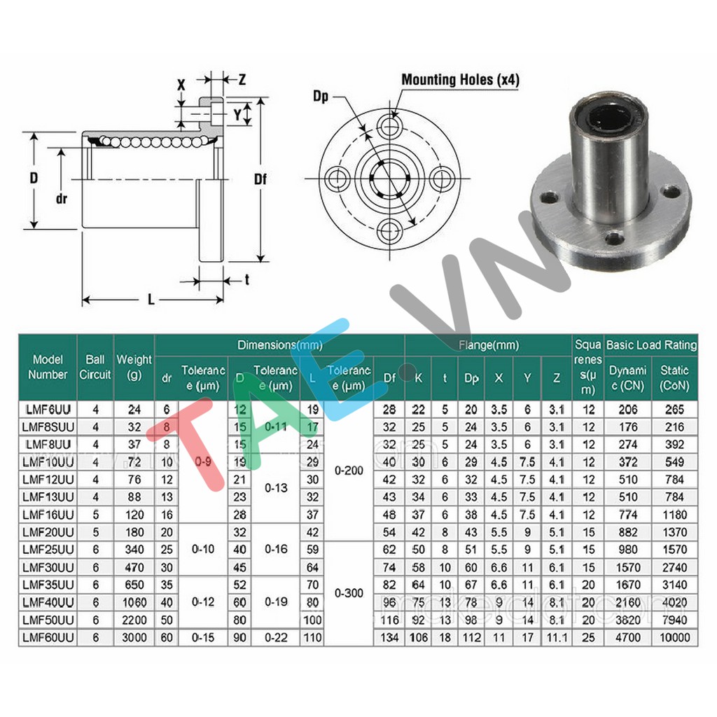 Con Trượt Tròn Có Tai LMF