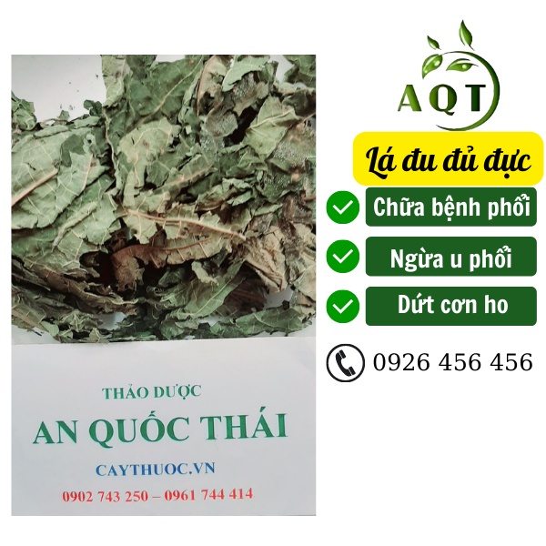 500g Lá Đu Đủ Đực [LOẠI 1] Phòng Ung Thư Phổi, Lá Đu Đủ Sấy Lạnh Xanh, Đẹp, Nguyên Chất
