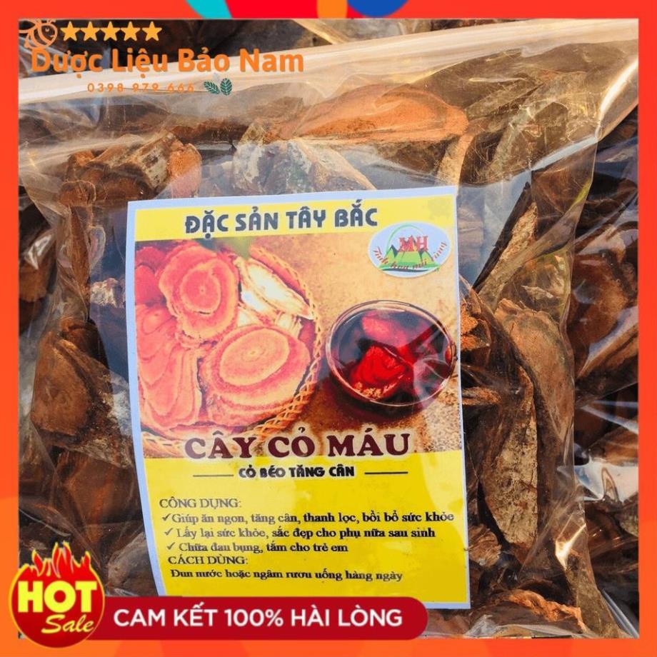 Cây cỏ máu, cỏ béo tăng cân dược liệu quý tại rừng già Sìn Hồ Lai Châu -1kg