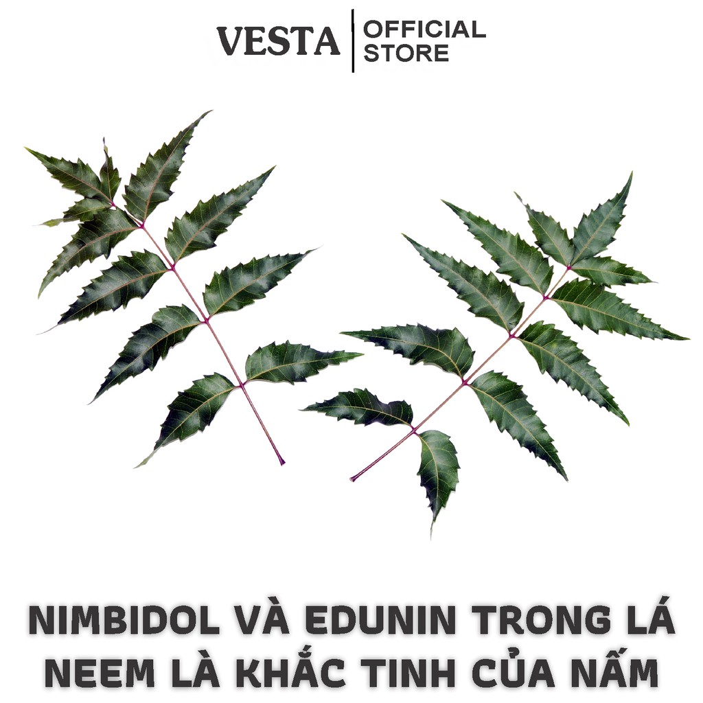 Bột Lá Neem Ấn Độ Nguyên Chất Vesta 100g