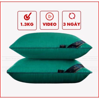 ( 1 ĐÔI ) Ruột gối HILTON cao cấp , ruột gối nằm 45x65cm giá xưởng nhiều màu chuẩn 1.3kg ép hơi giá rẻ