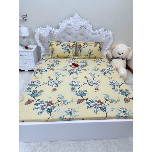 Bộ ga gối bo chun cotton 100% đẹp dày hàng cao cấp hàn quốc