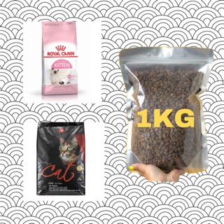 ROYAL CANIN - Thức ăn hạt Royal Canin Kitten 36 và Cateye