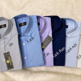Sale sơ mi nam cộc tay