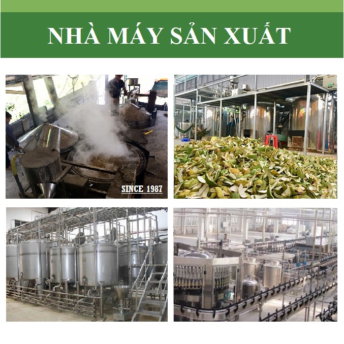 Mua Tinh D u Hoa H ng Nguy n Ch t Organic T Thi n Nhi n KingOil Gi 