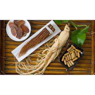 Hạt giống nhân sâm Hàn Quốc gói 5 hạt