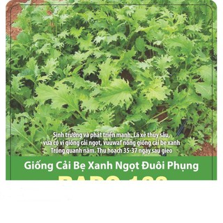 Hạt giống cải ngọt đuôi phụng 10gr