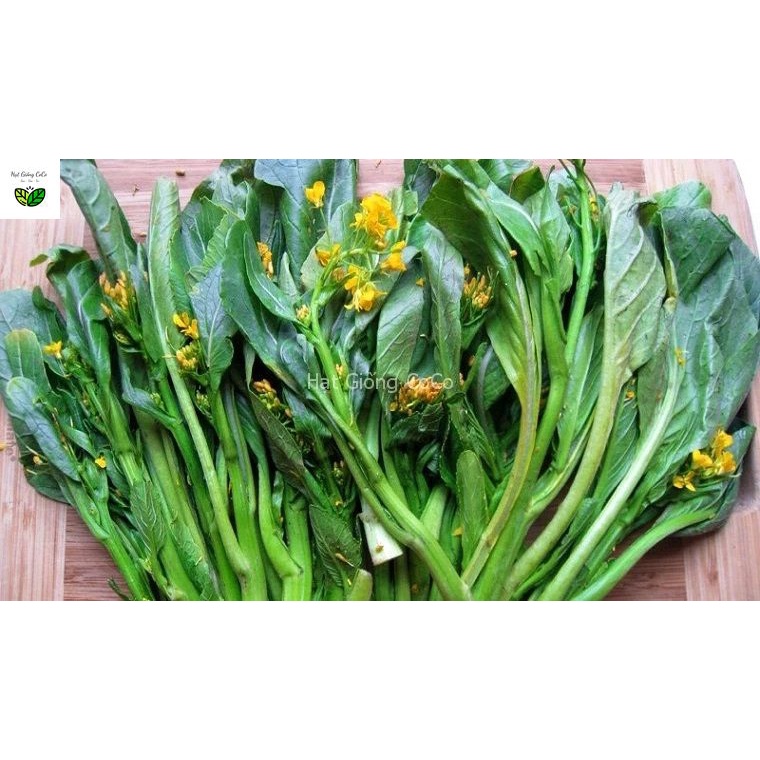 Hạt Giống Cải Ngọt Ăn Bông -  20Gr, Ăn Ngon, Giàu Dinh Dưỡng