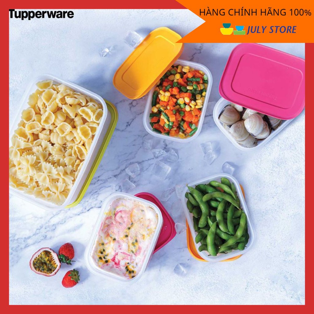 Hộp bảo quản Tupperware Freeship Bộ Hộp Trữ Đông Freezermate thế hệ II, TẶNG KÈM 1 HỘP ĐÔNG