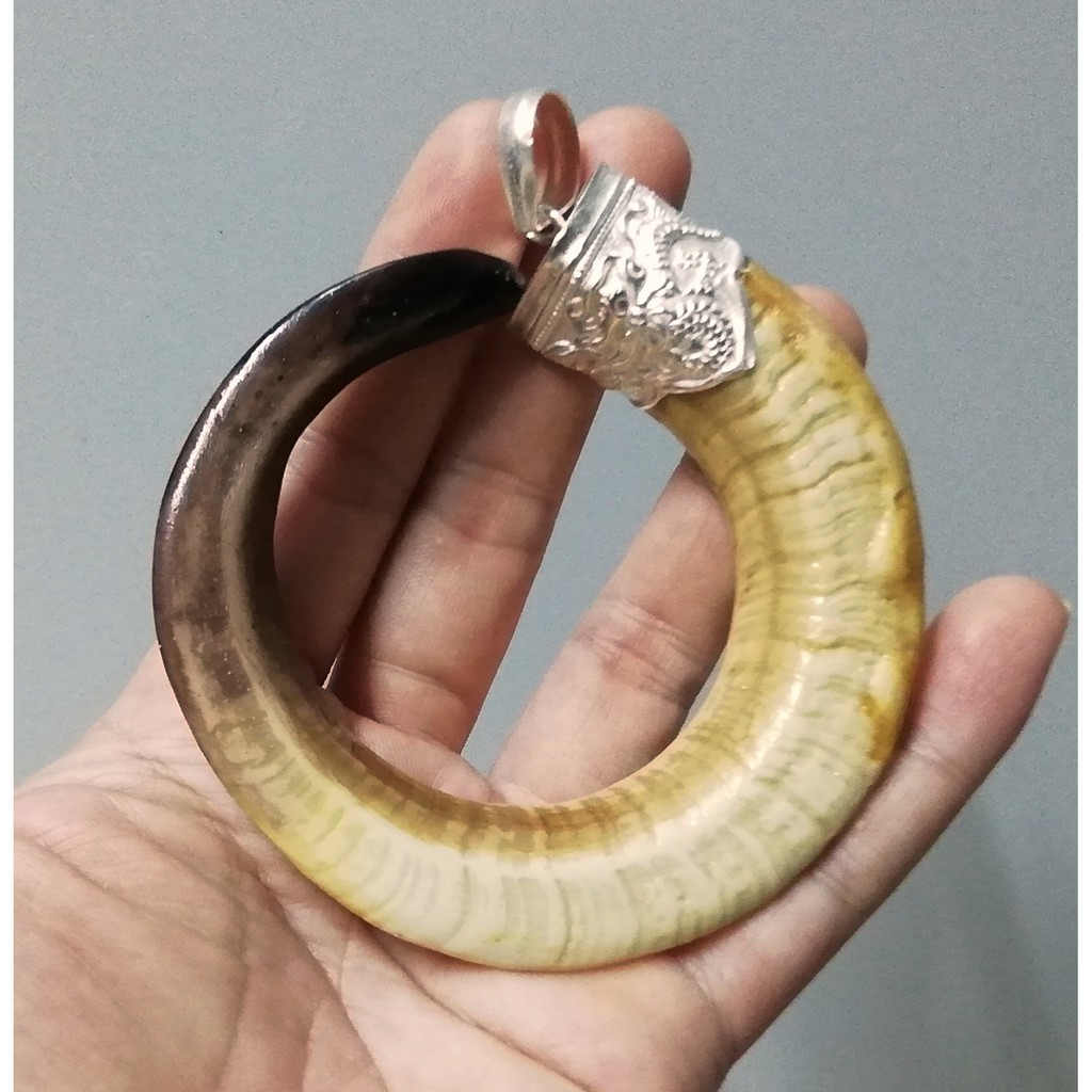 Mặt dây nanh heo hàng mỹ nghệ size 7.5cm
