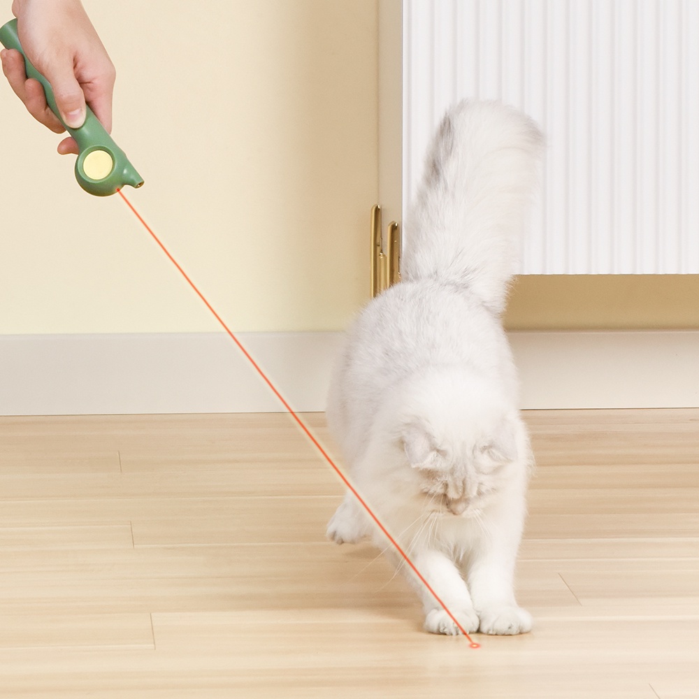 Đồ chơi Cần câu + đèn la-ze cho mèo PakeWay