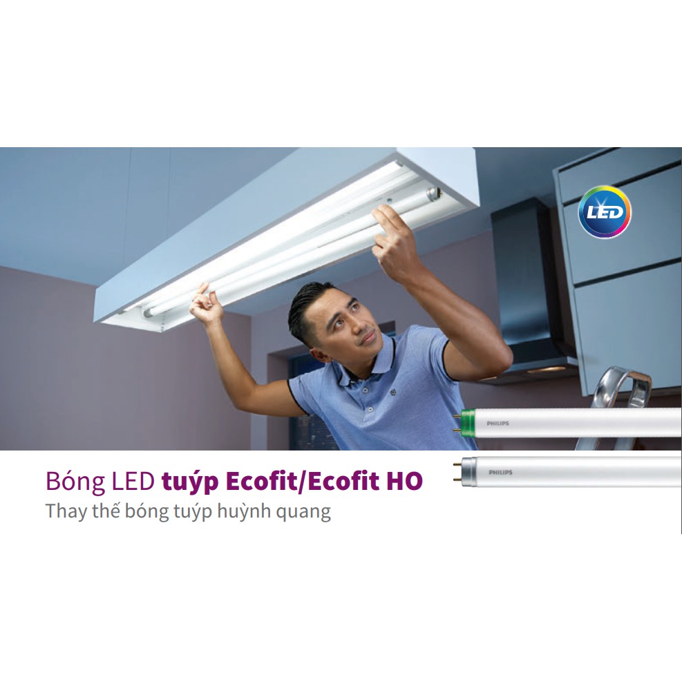 Bóng led tube philips ECOFIT 8w/765(740) 0,6m