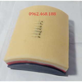 Mô hình tập khâu da