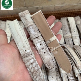 Dây đồng hồ da câ sấu màu trắng size 14-16-18-20-22-24 cá sấu gò vấp