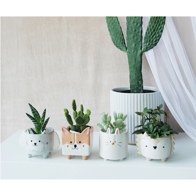 Chậu sứ hình con vật phong cách Bắc ÂU
