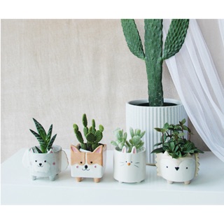 Chậu sứ hình con vật phong cách Bắc ÂU