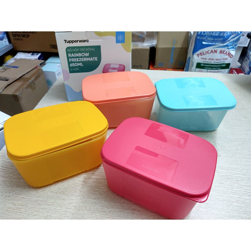 Hộp trữ đông Freezermate Rainbow 650ml Tupperware bảo quản thực phẩm trong ngăn đông an toàn bảo hành trọn đời