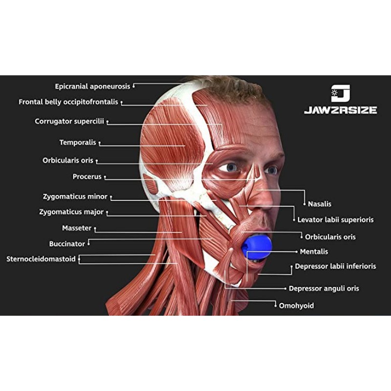 [CHÍNH HÃNG] JAWLINE Dụng cụ tập cơ mặt bằng Organic Silicon - Tạo hình Vline - Giảm mỡ - Xóa nọng cằm - asta store