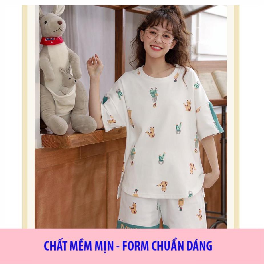 [ SIÊU MỊN - LOẠI I] Đồ Ngủ Nữ - Đồ bộ Cotton Mặc Nhà Họa Tiết Hoa Sang Trọng, Mẫu Đồ Ngủ Mùa Hè Hàng Bán Chạy Hè B1003