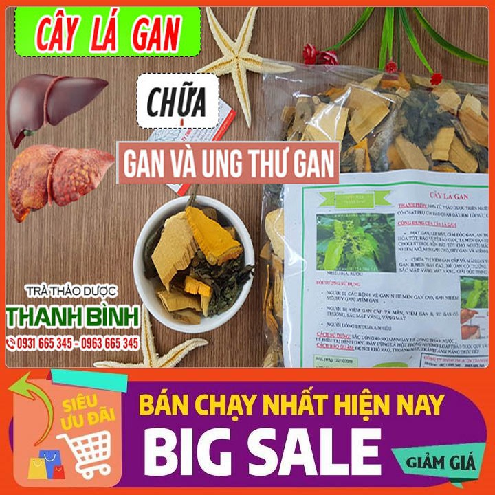 Cây Lá Gan Khô 100g - Thảo Dược Uy Tín - Hàng Cao Cấp