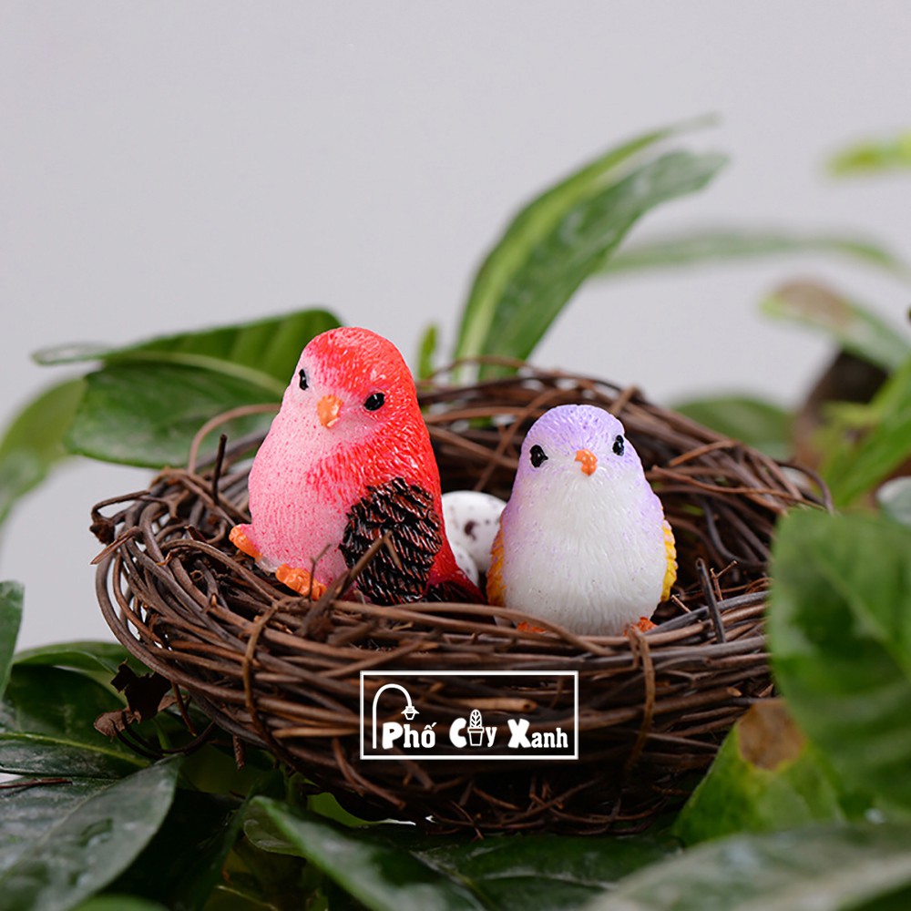 [Giá Siêu Rẻ] Chim Nhỏ Nhiều Màu xinh sắn làm phụ kiện trang trí cây xanh tiểu cảnh