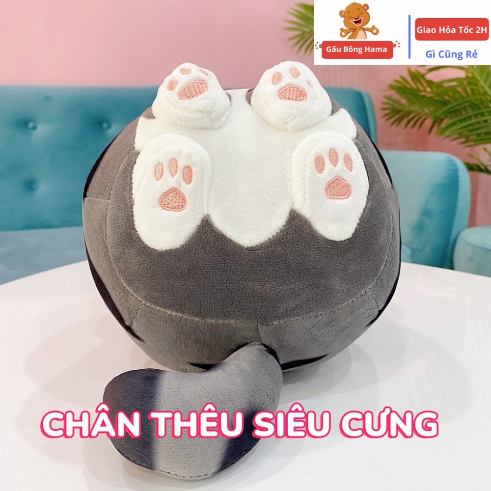 Gấu Bông Mèo Hoàng Thượng Cao Cấp  Hama