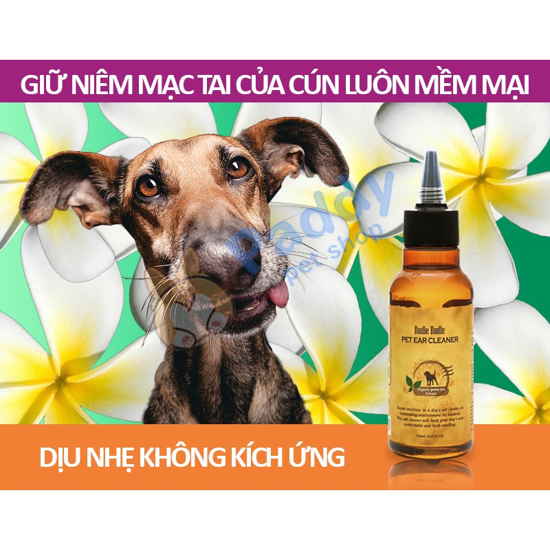 Dung Dịch Budle Vệ Sinh Tai Chó (120ml)