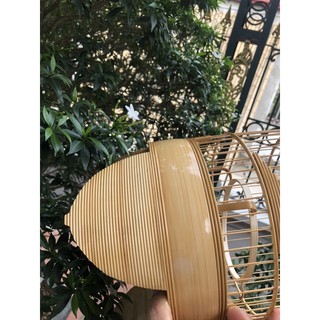 Lồng khuyên Dừa - Tách chỉ