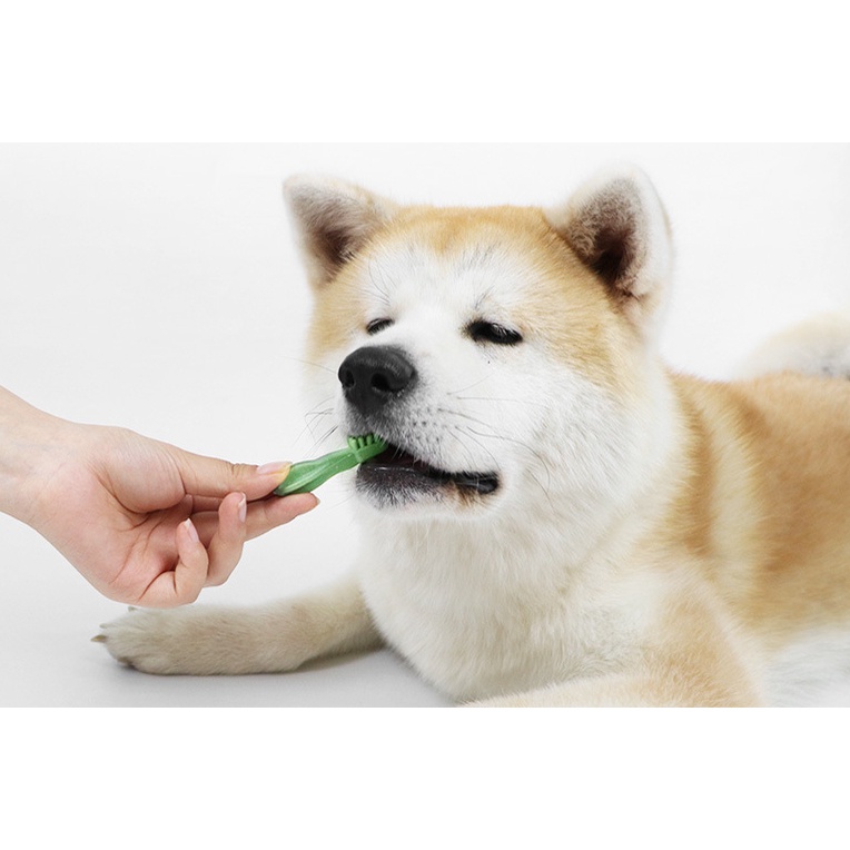 27 Que Đồ Chơi Gặm Làm Sạch Răng Cho Thú Cưng