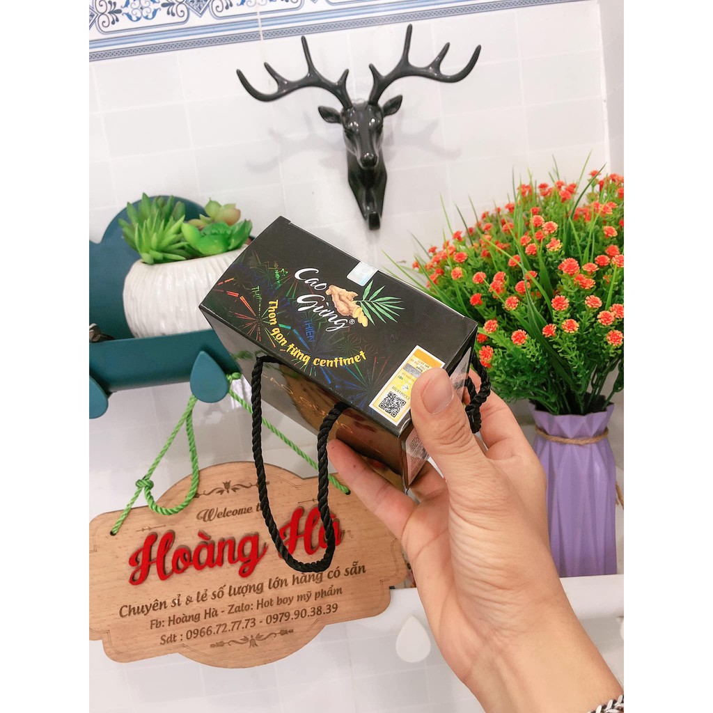 Cao Gừng - BÍ QUYẾT TAN MỠ | BigBuy360 - bigbuy360.vn