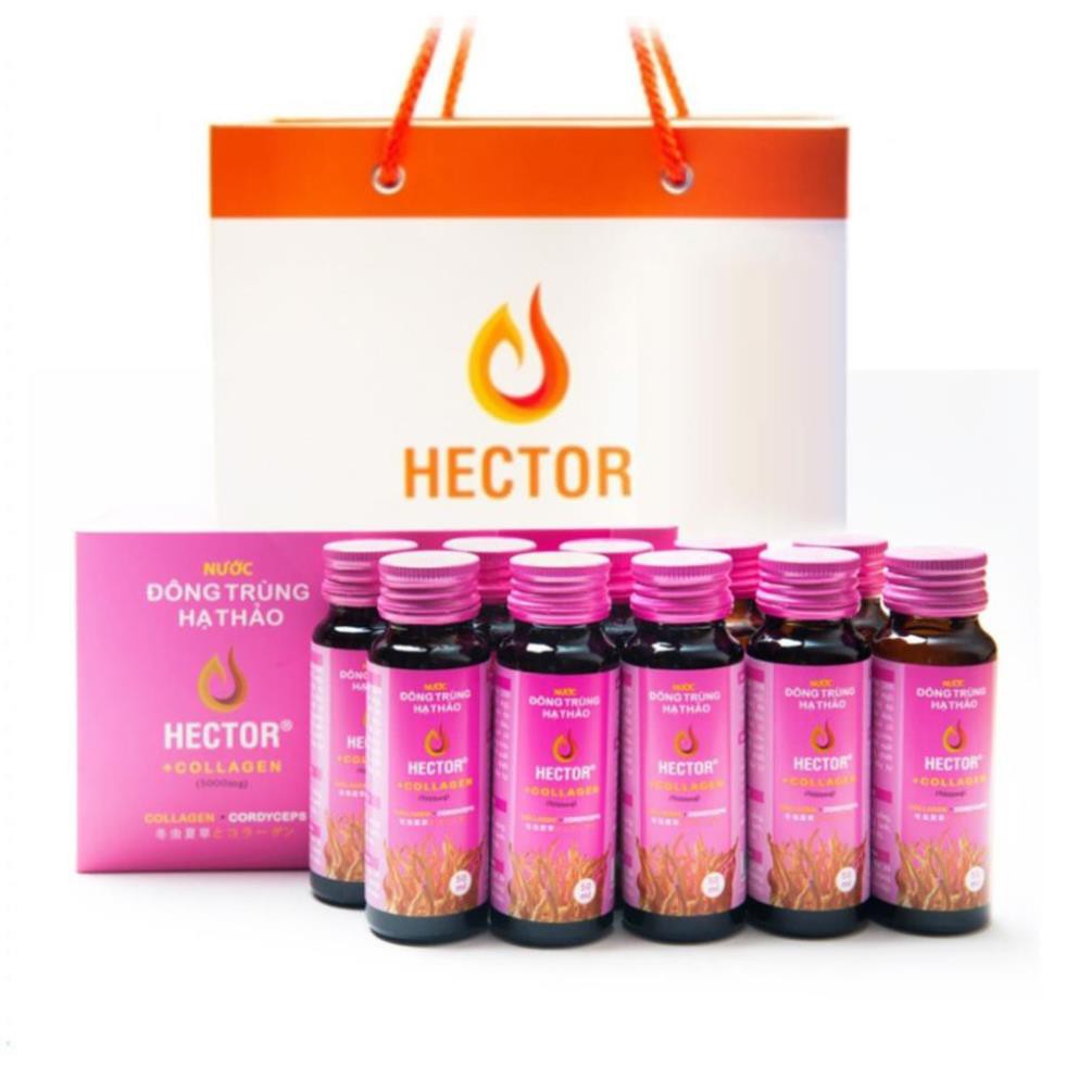 Nước Đông Trùng Hạ Thảo Hector Collagen Hộp 10 Chai