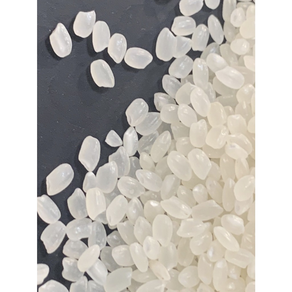 Gạo Japonica - Túi 1kg - Gạo Ông Thọ