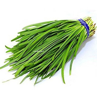 Gói 50 Hạt cây hẹ thơm