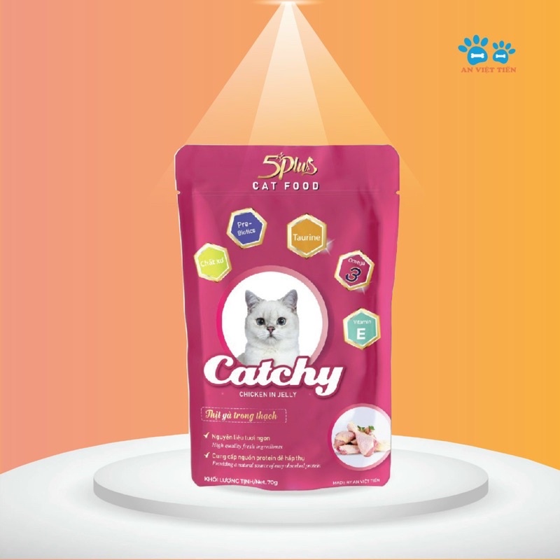 12 gói Thức ăn pate cho mèo 5Plus CATCHY 70g