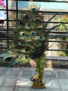 Lông công tự nhiên 100% 9 nhánh loại nhất